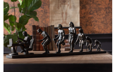 Evolution De L'homme Resine Bronze JLINE